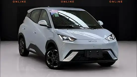 Foto de um byd dolphin