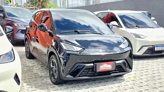 Foto de um byd dolphin mini