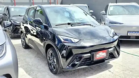 Foto de um byd dolphin mini