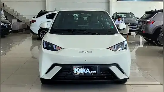 Foto de um byd dolphin mini