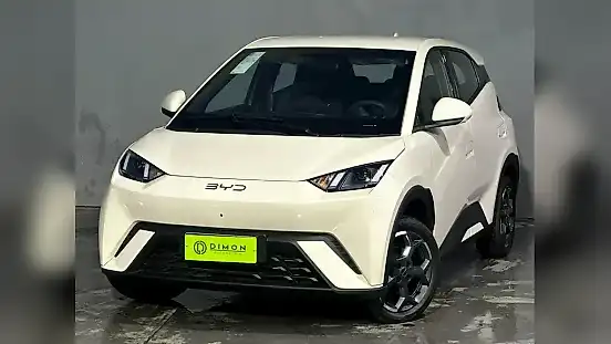Foto de um byd dolphin