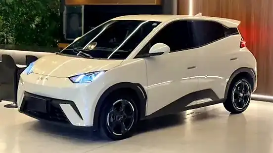 Foto de um byd dolphin mini