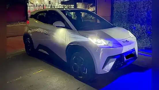 Foto de um byd dolphin mini