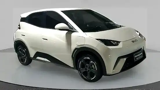 Foto de um byd dolphin mini