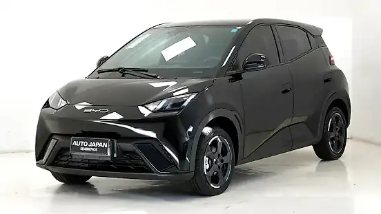Foto de um byd dolphin mini