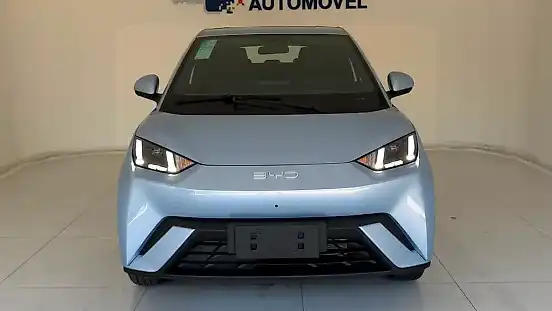 Foto de um byd dolphin mini