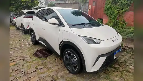 Foto de um byd dolphin mini
