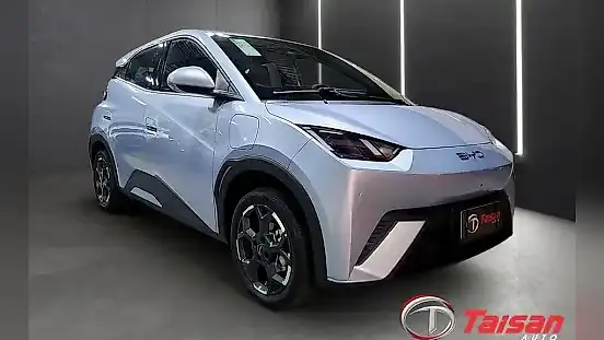 Foto de um byd dolphin mini