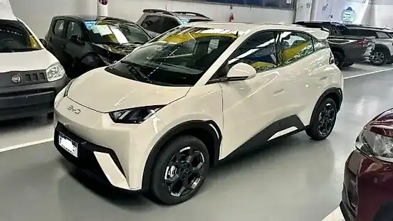 Foto de um byd dolphin