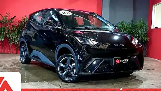 Foto de um byd dolphin mini