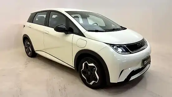 Foto de um byd dolphin