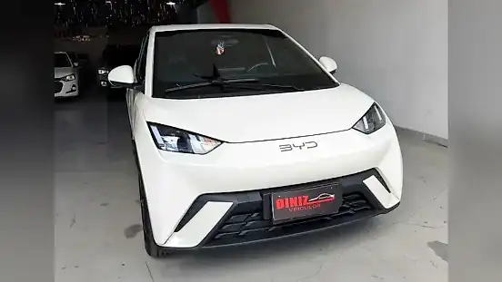Foto de um byd dolphin mini