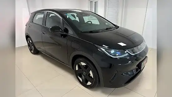 Foto de um byd dolphin
