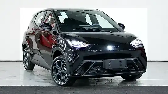 Foto de um byd dolphin mini