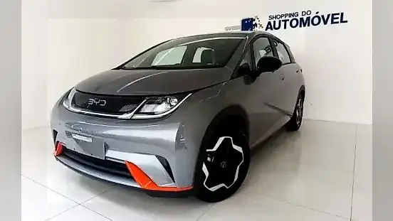 Foto de um byd dolphin