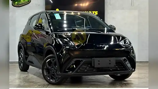 Foto de um byd dolphin mini