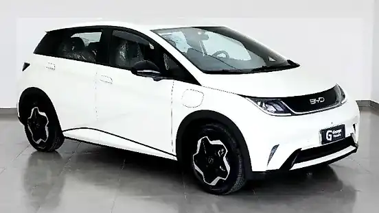 Foto de um byd dolphin