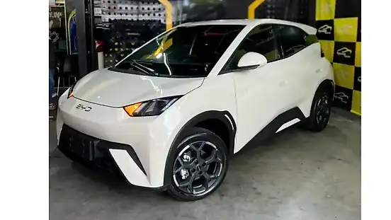Foto de um byd dolphin