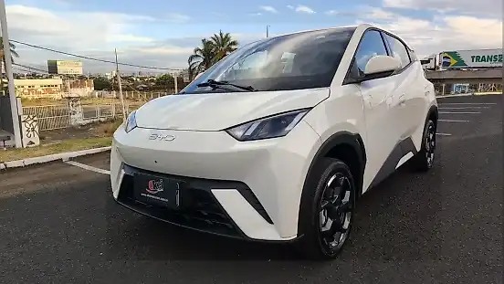 Foto de um byd dolphin mini