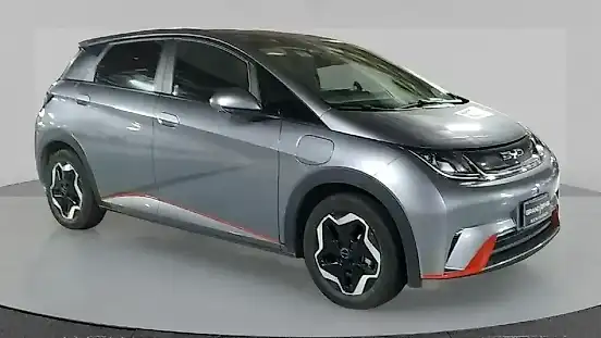 Foto de um byd dolphin