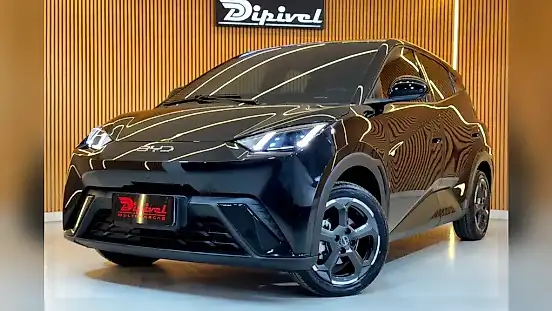 Foto de um byd dolphin mini