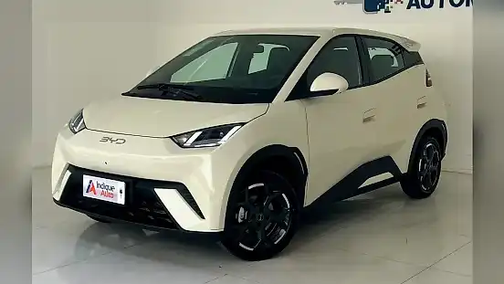 Foto de um byd dolphin