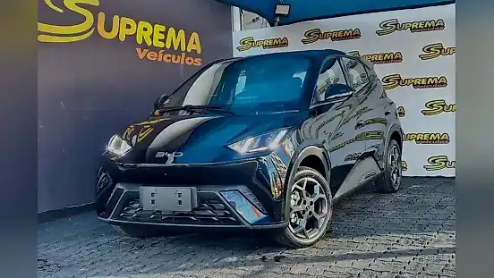 Foto de um byd dolphin