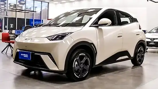 Foto de um byd dolphin mini