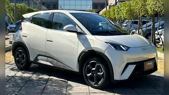 Foto de um byd dolphin mini