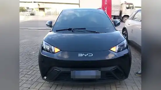 Foto de um byd dolphin mini