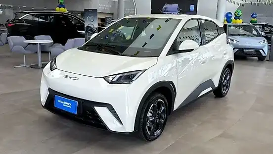 Foto de um byd dolphin mini