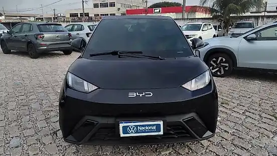 Foto de um byd dolphin mini