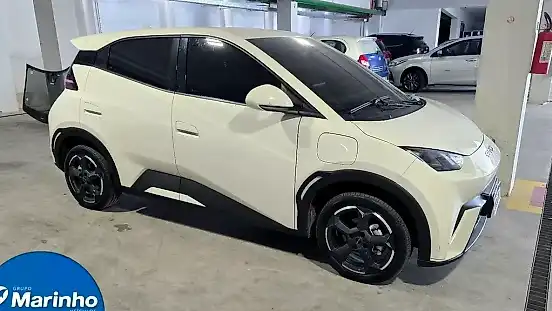 Foto de um byd dolphin mini