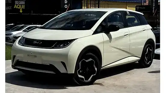 Foto de um byd dolphin