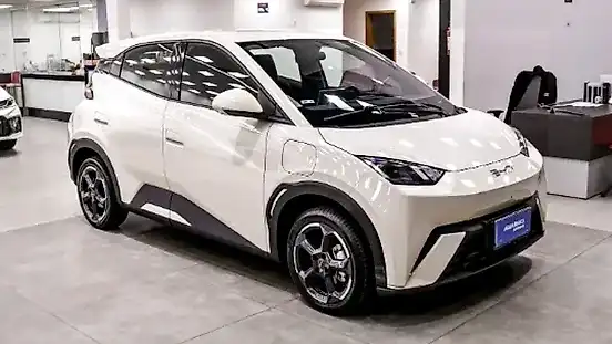 Foto de um byd dolphin mini