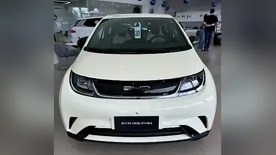 Foto de um byd dolphin