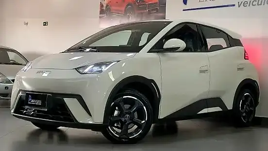 Foto de um byd dolphin