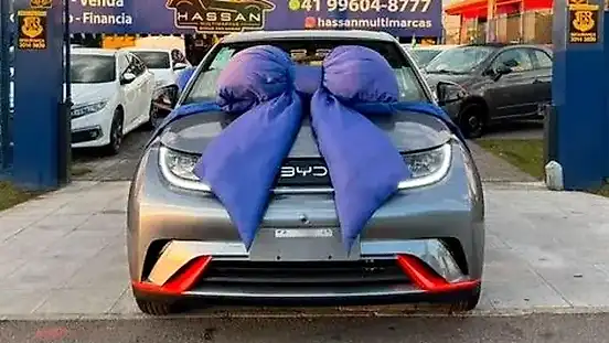 Foto de um byd dolphin