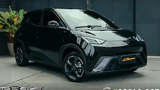Foto de um byd dolphin mini