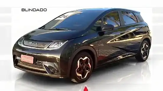 Foto de um byd dolphin
