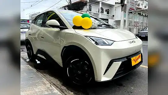 Foto de um byd dolphin
