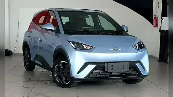 Foto de um byd dolphin mini