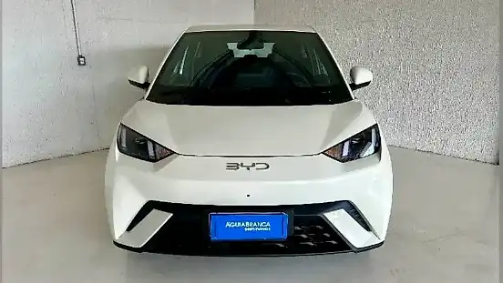 Foto de um byd dolphin mini