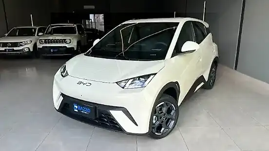 Foto de um byd dolphin mini
