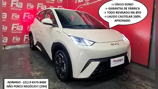 Foto de um byd dolphin mini