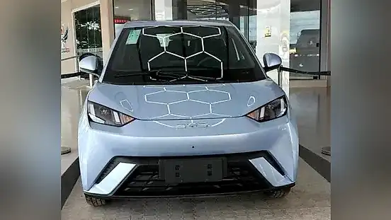 Foto de um byd dolphin