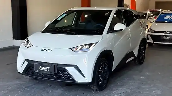 Foto de um byd dolphin mini