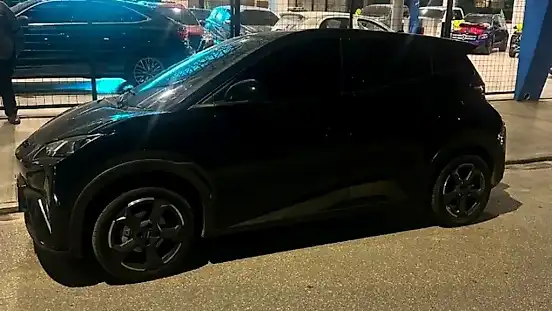 Foto de um byd dolphin mini