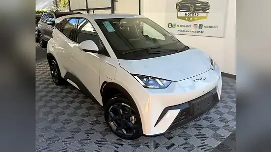 Foto de um byd dolphin mini