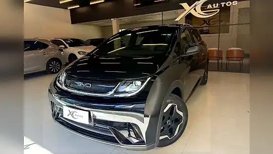 Foto de um byd dolphin